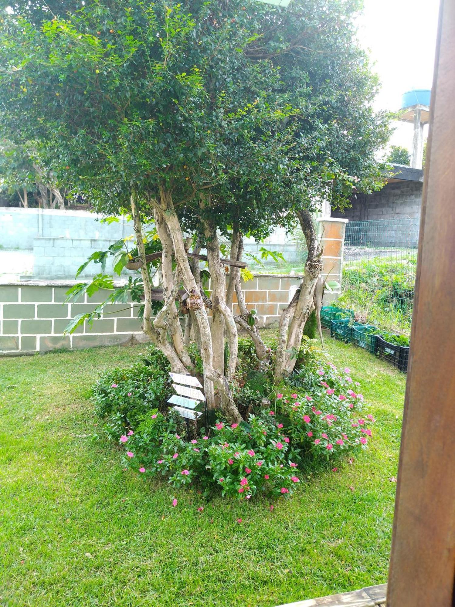 Ferias Na Barra Da Lagoa Florianopolis
